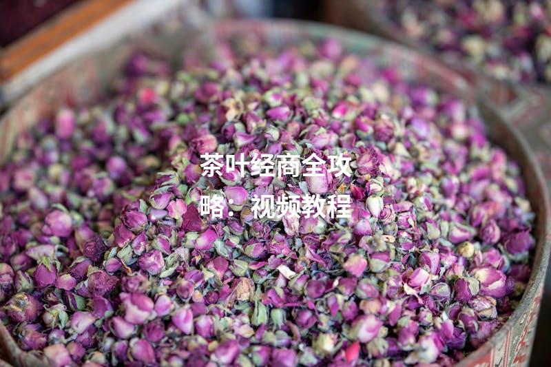 茶叶经商全攻略：视频教程