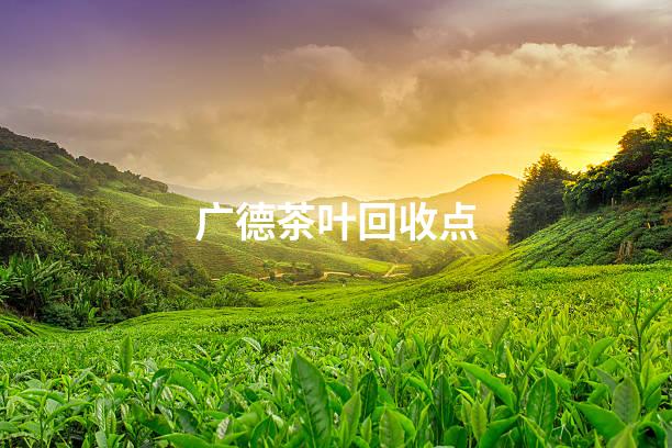 广德茶叶回收点