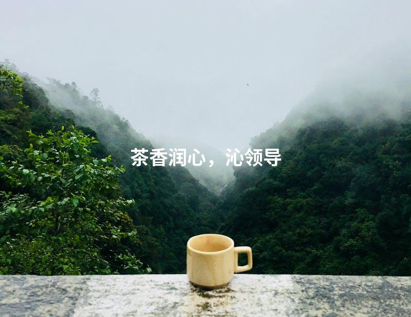 茶香润心，沁领导