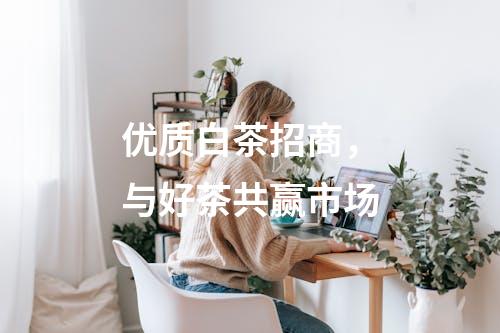 优质白茶招商，与好茶共赢市场