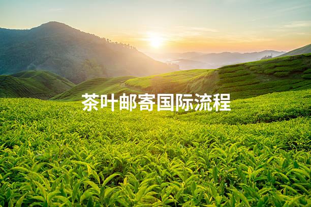茶叶邮寄国际流程