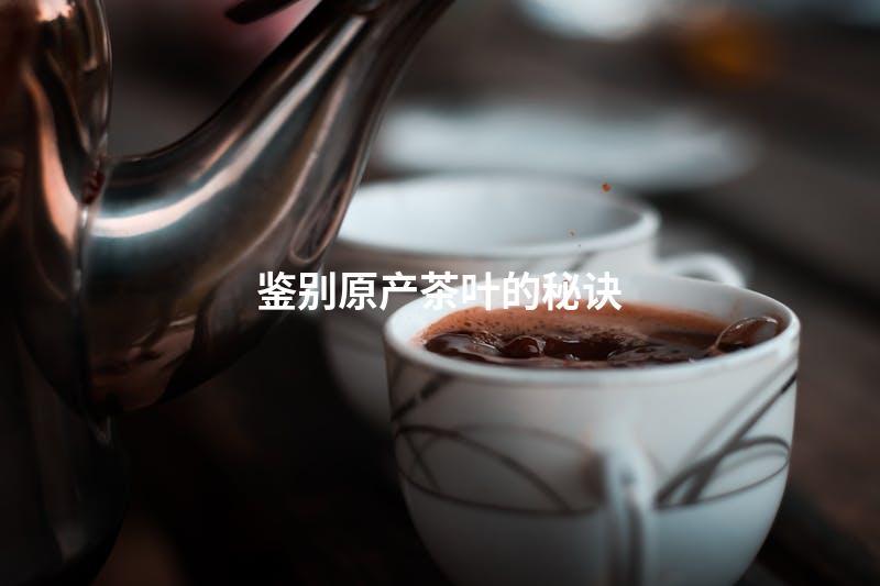 鉴别原产茶叶的秘诀