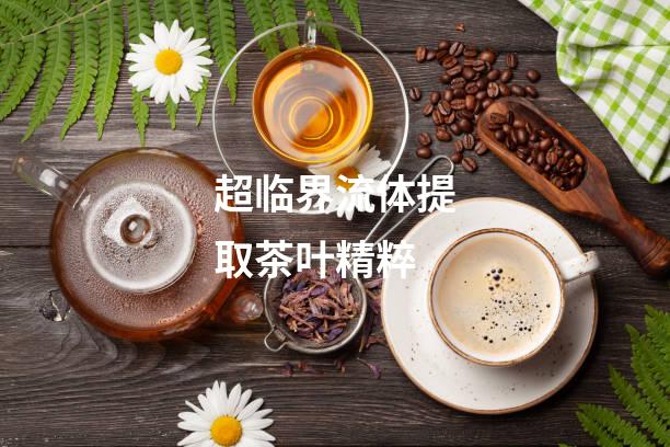 超临界流体提取茶叶精粹