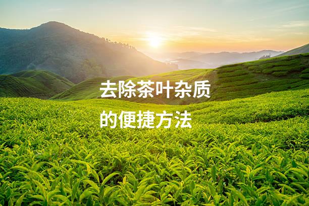 去除茶叶杂质的便捷方法