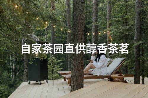 自家茶园直供醇香茶茗