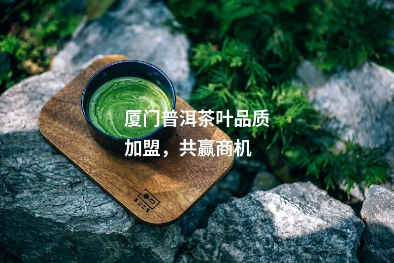厦门普洱茶叶品质加盟，共赢商机