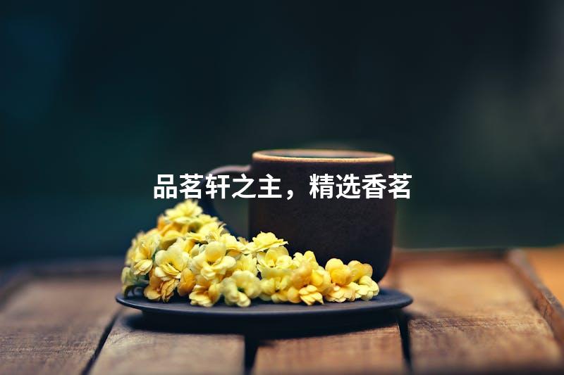 品茗轩之主，精选香茗