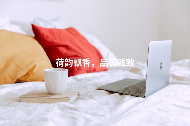 荷韵飘香，品茗雅致