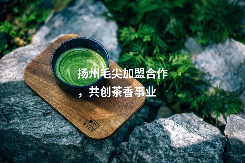 扬州毛尖加盟合作，共创茶香事业