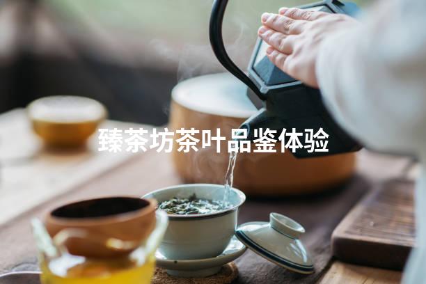 臻茶坊茶叶品鉴体验