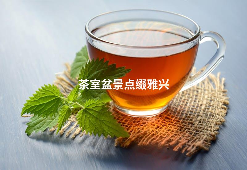 茶室盆景点缀雅兴