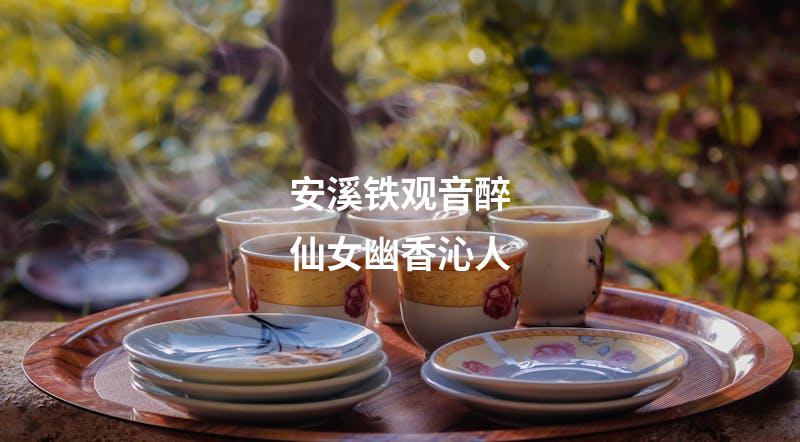 安溪铁观音醉仙女幽香沁人
