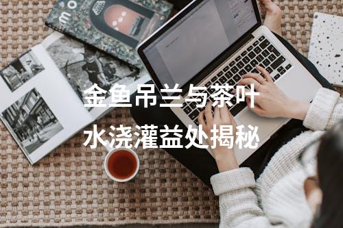 金鱼吊兰与茶叶水浇灌益处揭秘