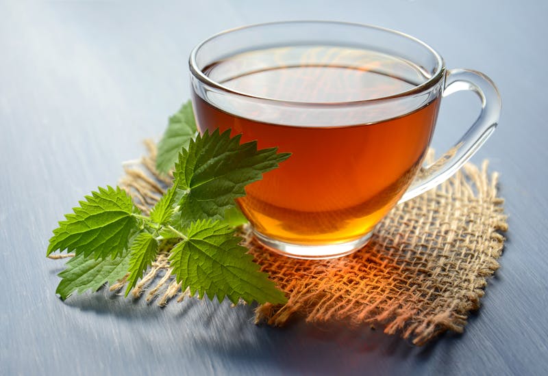 茶树上的果子：茶籽，制茶的重要原料