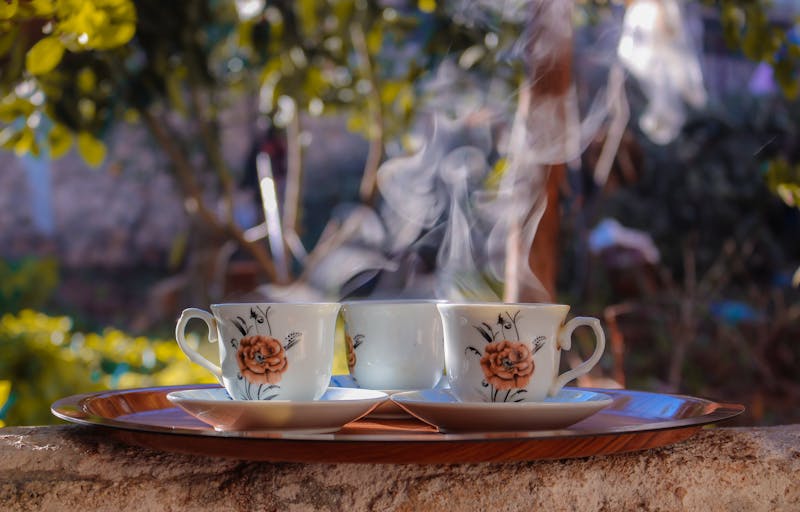 散茶的魅力：寻找叶片的宝藏