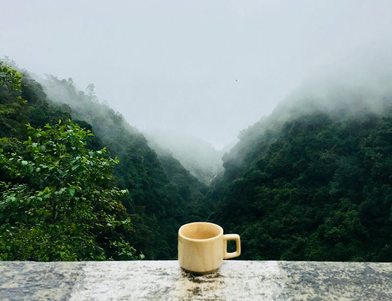 岩茶叶的独特之处